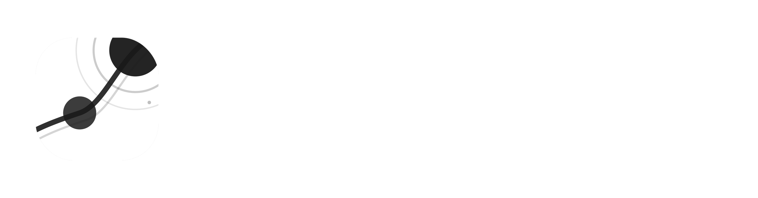 René Studio